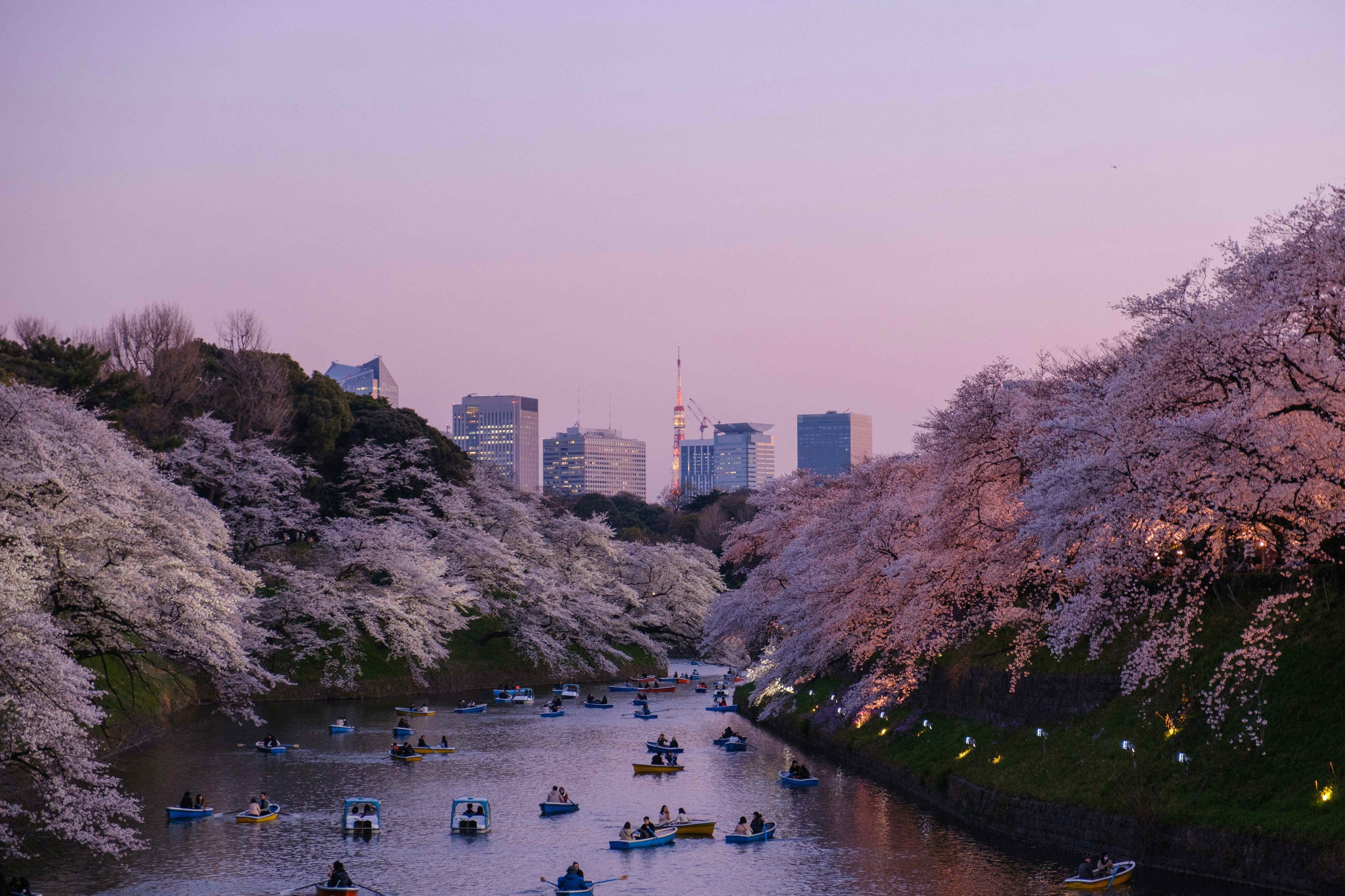 image from 2025年4月の稽古予定